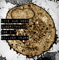 ! LIFE HAS BEEN ALGORITHMS FOR 2.7 BILLION YEARS